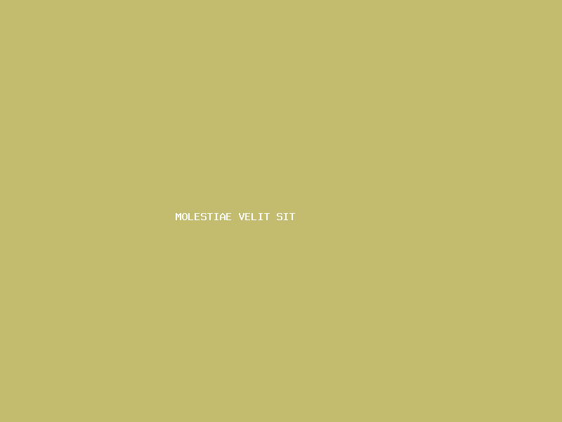 Molestiae Velit Sit