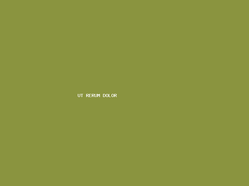Ut Rerum Dolor